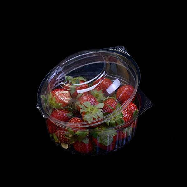 8oz PET Plastic Salad Box