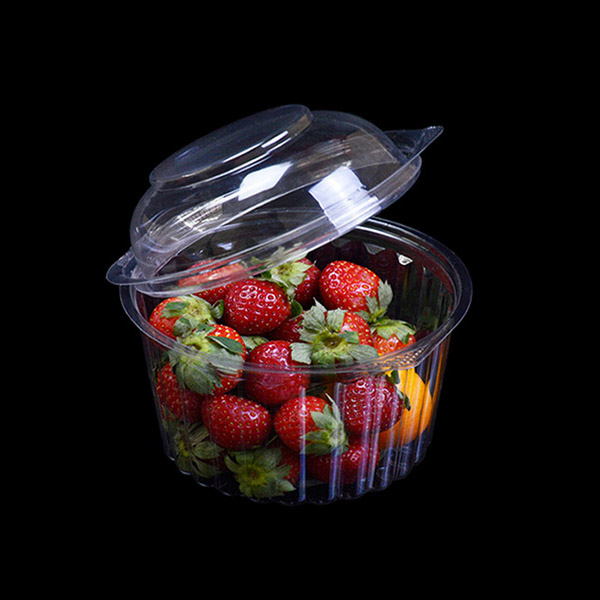 16oz PET Plastic Salad Box