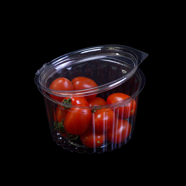 16oz PET Plastic Salad Box