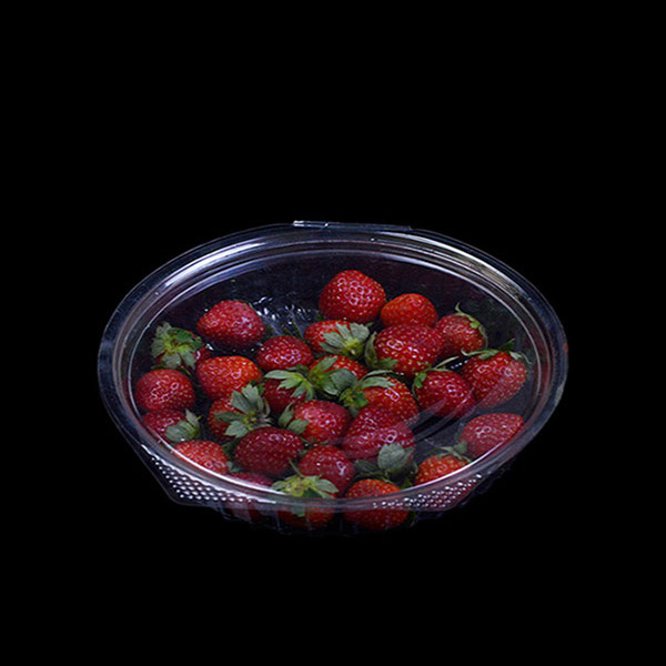 20oz PET Plastic Salad Box