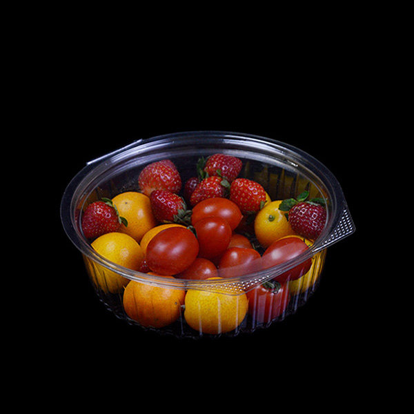 24oz PET Plastic Salad Box
